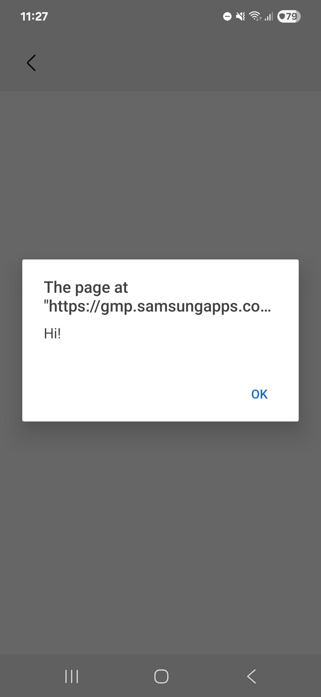 Galaxy Store WebView showing injected JavaScript execution